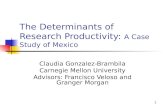 The Determinants of Research Productivity:  A Case Study of Mexico