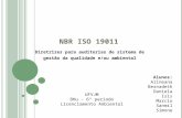 NBR ISO 19011