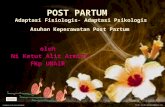 POST PARTUM   Adaptasi Fisiologis -  Adaptasi Psikologis Asuhan Keperawatan  Post Partum