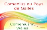 Comenius au Pays de Galles