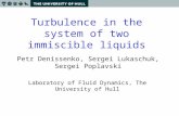 Turbulence in the system of two immiscible liquids