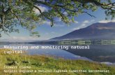 Measuring and monitoring natural capital