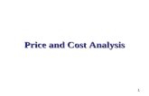 Price and Cost Analysis