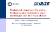 Statistical education for doing Statistics professionally: some challenges and the road ahead