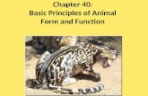 Chapter  40: Basic Principles of Animal Form and Function
