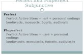 Perfect and Pluperfect Subjunctive