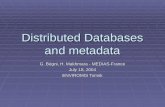 Distributed Databases and metadata