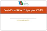 Sosial Yenilikl ər Düşərgəsi (SYD)