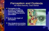 Perception  and Dyslexia Mr Patrick Mulcahy, Chair ASASA