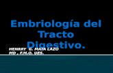 Embriología del Tracto Digestivo.