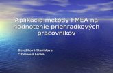 Aplikácia metódy FMEA na hodnotenie priehradkových pracovníkov