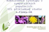 Koexistence cytotypů v sympatrických populacích: tři příkladové studie z flóry ČR