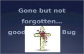 Gone but not forgotten… good-bye June Bug
