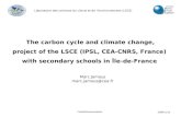 The carbon cycle and climate change, project of the LSCE (IPSL, CEA-CNRS, France)