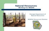 Natural Resources Working For Wildlife
