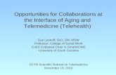 Opportunities for Collaborations at the Interface of Aging and Telemedicine (Telehealth)