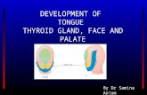 DEVELOPMENT OF  TONGUE  THYROID GLAND, FACE AND PALATE