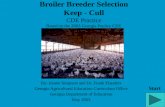 Broiler Breeder Selection Keep - Cull CDE Practice Based on the 2003 Georgia Poultry CDE