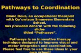 Pathways to Coordination
