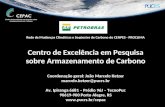 Rede de Mudanças Climáticas e Seqüestro de Carbono do CENPES - PROCLIMA