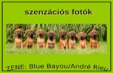 ZENE: Blue Bayou/André Rieu