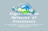 Parallel Algorithms on Networks of Processors