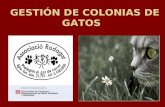  GESTIÓN DE COLONIAS DE GATOS