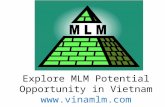 Explore MLM Potential Opportunity in Vietnam vinamlm