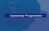 Causeway Programme