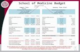 School of Medicine Budget