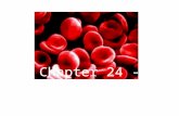 Chapter 24 - Blood Therapy