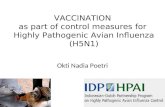 VACCINATION  as part of control measures for  Highly Pathogenic Avian Influenza (H5N1)