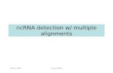 ncRNA detection w/ multiple alignments