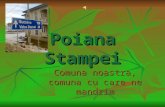 Poiana Stampei