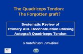 The Quadriceps Tendon:  The Forgotten graft?