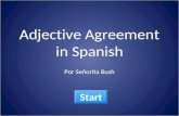 Adjective Agreement in Spanish