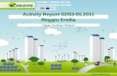 Activity Report 02/03-05.2011 Reggio Emilia
