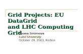 Grid Projects: EU DataGrid  and LHC Computing Grid