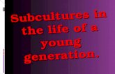 Subcultures in the life of a young generation.