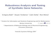 Robustness Analysis and Tuning  of Synthetic Gene Networks