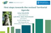 First steps towards the r evis ed  Territorial Agenda