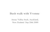 Bush walk with Yvonne