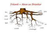 Fréamh = Ainm an Briathar
