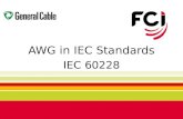 AWG in IEC Standards