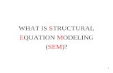 WHAT IS  S TRUCTURAL  E QUATION  M ODELING ( SEM )?