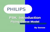 PSK  Introduction Flying Geese Model                                                  By Serene