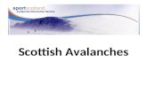 Scottish Avalanches