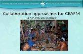 Collaboration approaches for CEAFM