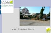 Lycée Théodore Monod