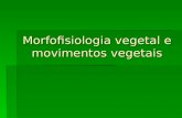 Morfofisiologia vegetal e movimentos vegetais